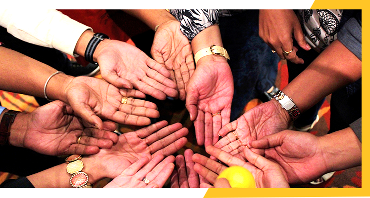 Team Effectiveness Solutions